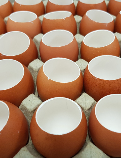 Ouvre Oeuf à La Coque Coupe Oeuf à La Coque, Toque Oeuf Ouvre Oeuf