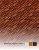 Vertigo - Feuille de transfert pour chocolat (x30 feuilles) - PAVONI