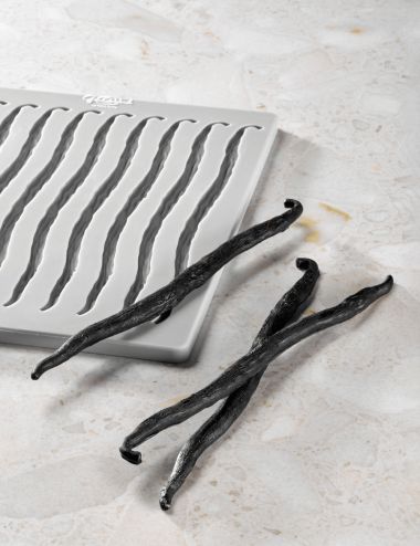 Vanilla - Moule en silicone Gourmand par Paolo Griffa (x10) - PAVONI