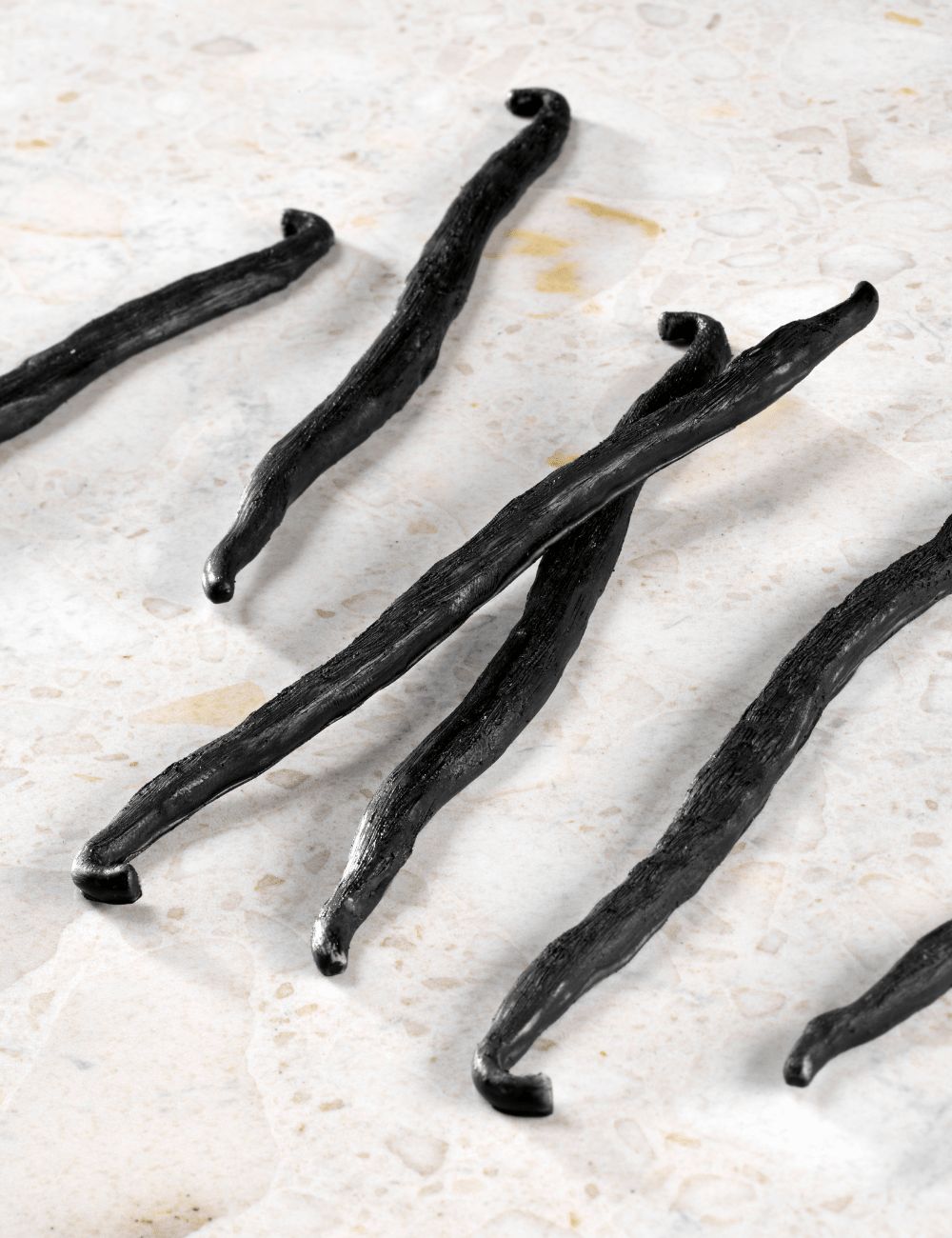 Vanilla - Décors de gousses de vanille en trompe-l’œil réalisés avec le moule en silicone Gourmand de Pavoni - GG082